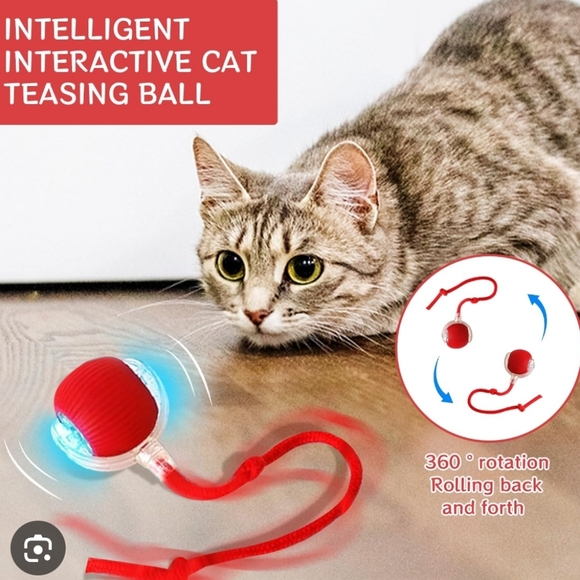 Source Unknown Other - Interactive Cat Toy Ball,  Robo Mouse